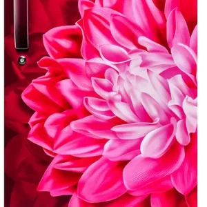 Haier 190 L Direct Cool Single Door 3 Star Refrigerator with Base Drawer with Large Storage Space1 Hour Icing Technology  (Red Dahelia, HED-203RD-P)